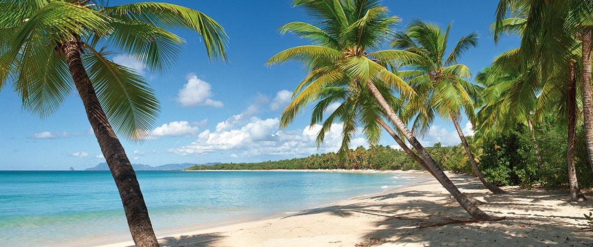 The tropical beaches of Martinique